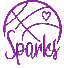 Load image into Gallery viewer, Sparks (heart) T-Shirt
